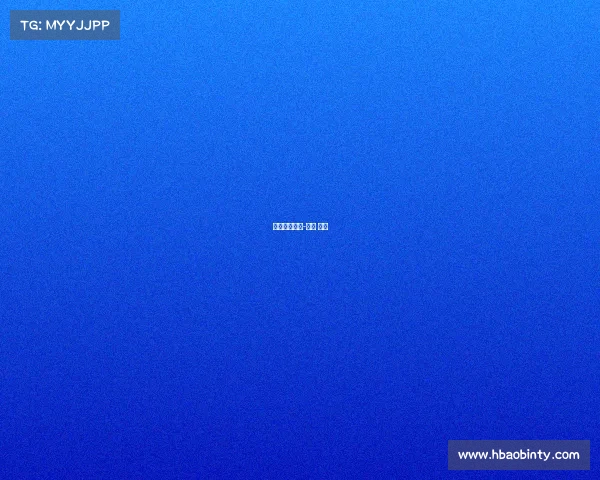 爱信电子竞技-爱信 电装